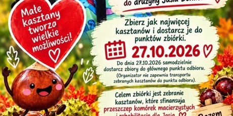 Powiększ grafikę: zbieraj-kasztana-dla-bohatera-jana-715696.jpg