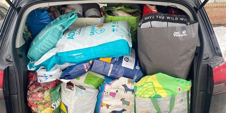 Powiększ grafikę: zbiorka-670226.jpg