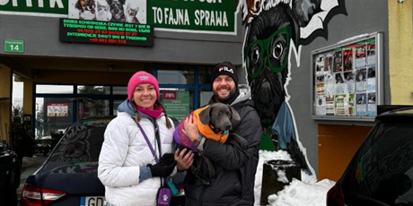 Powiększ grafikę: zbiorka-670227.jpg