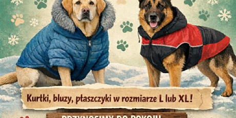 ZBIÓRKA DLA SCHRONISKA